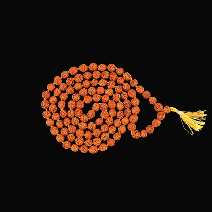 Small 108+1 beads Rudraksh Jap Mala